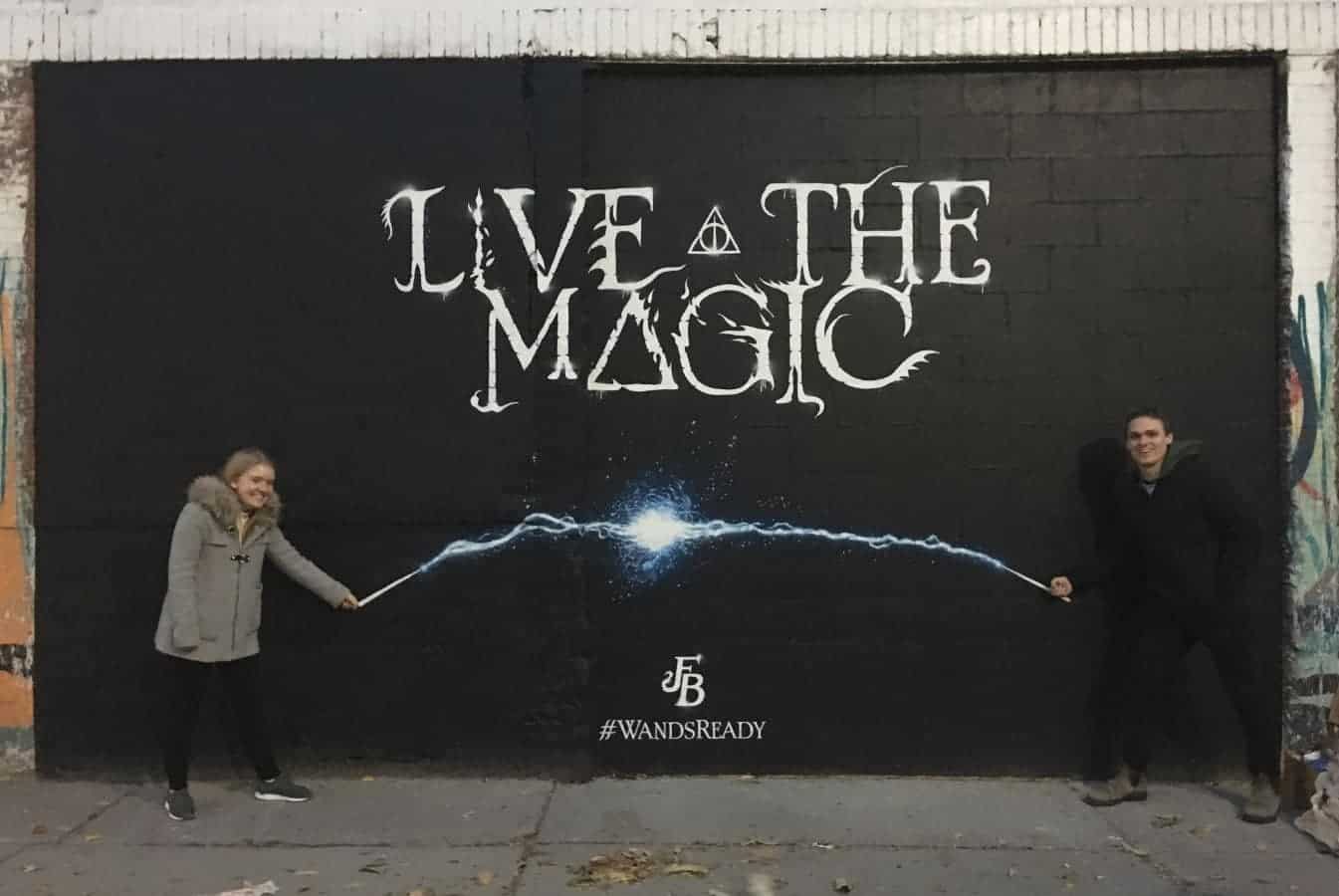 Fantastic Beasts Interactive Wall Mural